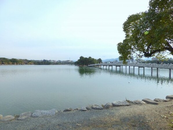 ダイナコートエスタディオ大濠公園の物件外観写真